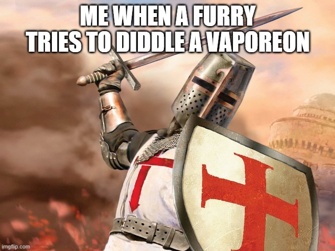 Protect them at all costs | ME WHEN A FURRY TRIES TO DIDDLE A VAPOREON | image tagged in templar,anti furry,based,knight | made w/ Imgflip meme maker