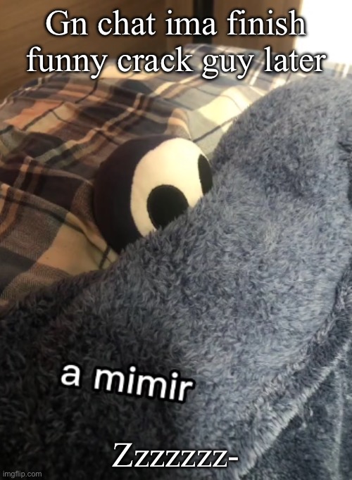 No fr bye- | Gn chat ima finish funny crack guy later; Zzzzzzz- | image tagged in a mimir | made w/ Imgflip meme maker