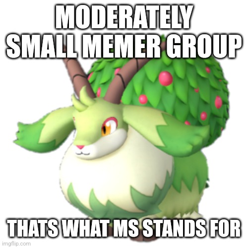 Caprity | MODERATELY SMALL MEMER GROUP; THATS WHAT MS STANDS FOR | image tagged in caprity | made w/ Imgflip meme maker