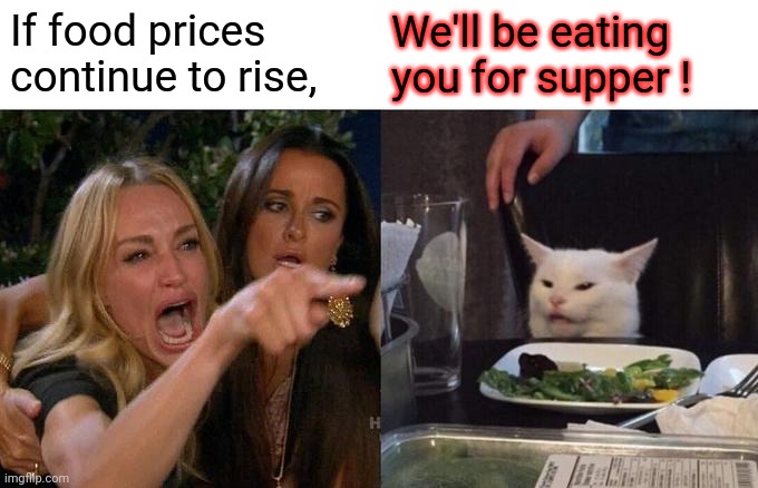 Woman Yelling At Cat | If food prices continue to rise, We'll be eating you for supper ! | image tagged in memes,woman yelling at cat | made w/ Imgflip meme maker