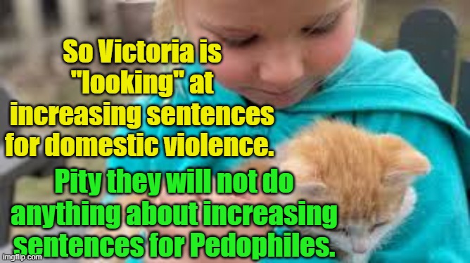 Victorian Government looking at increasing sentences for domestic violence | Yarra Man; So Victoria is "looking" at increasing sentences for domestic violence. Pity they will not do anything about increasing sentences for Pedophiles. | image tagged in victoria,australia,government,predators,pedo maggots | made w/ Imgflip meme maker