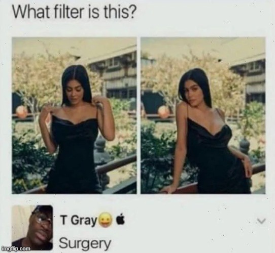 image tagged in filter,surgery,plastic surgery | made w/ Imgflip meme maker