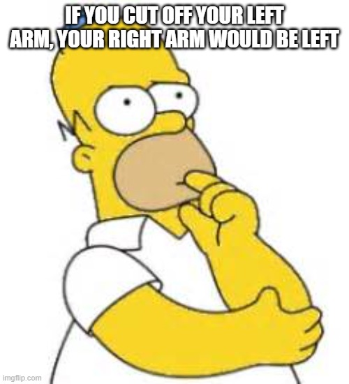 RIGHT IS LEFT | IF YOU CUT OFF YOUR LEFT ARM, YOUR RIGHT ARM WOULD BE LEFT | image tagged in homer simpson hmmmm | made w/ Imgflip meme maker