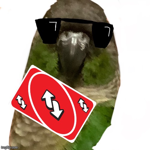 Uno Reverse | image tagged in birb,uno reverse card | made w/ Imgflip meme maker