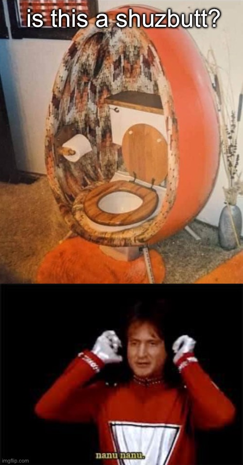 Bathroom? | is this a shuzbutt? | image tagged in mork and mindy,bathroom,toilet | made w/ Imgflip meme maker