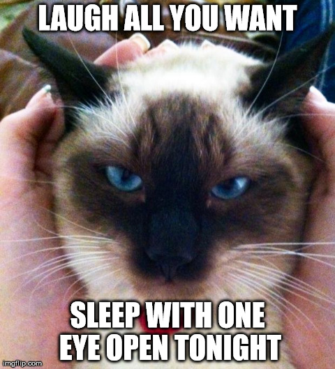 LAUGH ALL YOU WANT SLEEP WITH ONE EYE OPEN TONIGHT | made w/ Imgflip meme maker