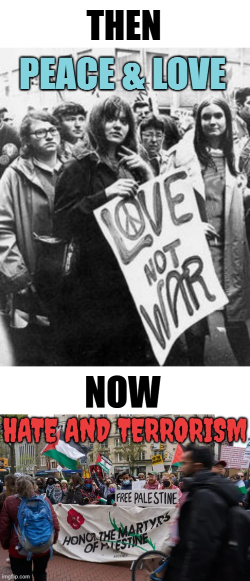 Protests | THEN; PEACE & LOVE; NOW; HATE AND TERRORISM | image tagged in memes,politics,protests,then vs now,peace,hate | made w/ Imgflip meme maker