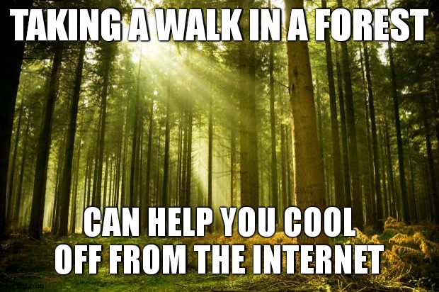 possible side effects are spooky liminal scenes | TAKING A WALK IN A FOREST; CAN HELP YOU COOL OFF FROM THE INTERNET | image tagged in sunlit forest,walk,forest,get off the internet,cool off | made w/ Imgflip meme maker