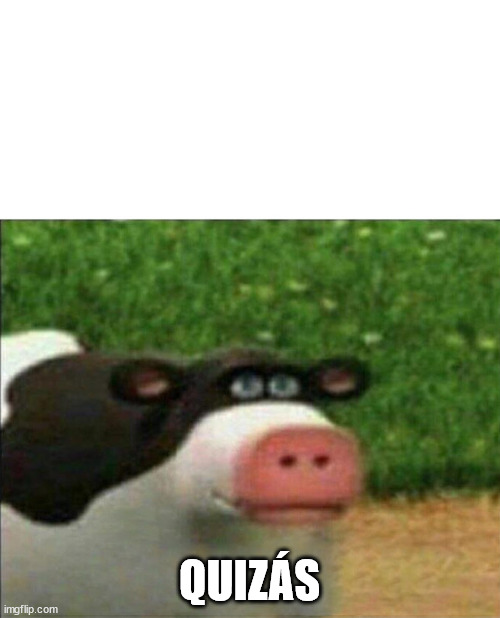 Perhaps cow | QUIZÁS | image tagged in perhaps cow | made w/ Imgflip meme maker