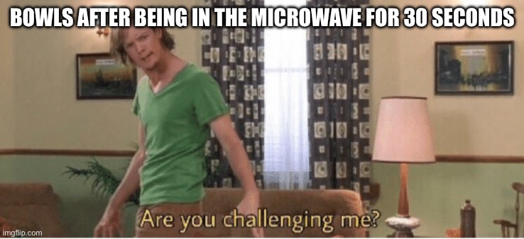 are you challenging me | BOWLS AFTER BEING IN THE MICROWAVE FOR 30 SECONDS | image tagged in are you challenging me | made w/ Imgflip meme maker