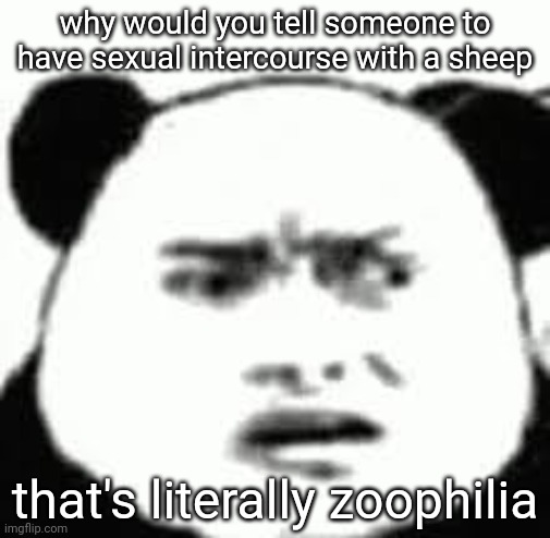 Confused chinese bear | why would you tell someone to have sexual intercourse with a sheep; that's literally zoophilia | image tagged in confused chinese bear | made w/ Imgflip meme maker