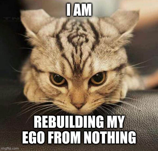 Gimme a minute to reincorporate myself | I AM; REBUILDING MY EGO FROM NOTHING | image tagged in grrrrr,ego,we will rebuild,memes,grumpy cat,renewal | made w/ Imgflip meme maker