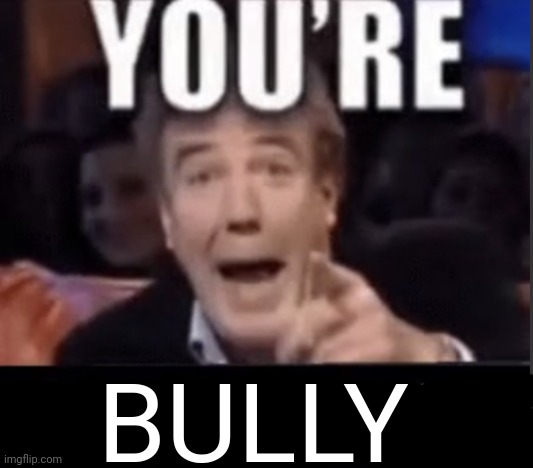 You're X (Blank) | BULLY | image tagged in you're x blank | made w/ Imgflip meme maker