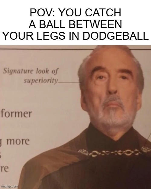 Come at me peasants! | POV: YOU CATCH A BALL BETWEEN YOUR LEGS IN DODGEBALL | image tagged in signature look of superiority,dodgeball,funny,memes,dank memes,school memes | made w/ Imgflip meme maker