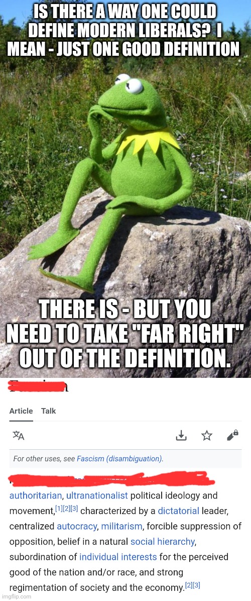 IS THERE A WAY ONE COULD DEFINE MODERN LIBERALS?  I MEAN - JUST ONE GOOD DEFINITION; THERE IS - BUT YOU NEED TO TAKE "FAR RIGHT" OUT OF THE DEFINITION. | image tagged in kermit-thinking | made w/ Imgflip meme maker