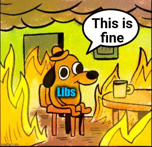This is fine | This is
fine Libs | image tagged in this is fine | made w/ Imgflip meme maker