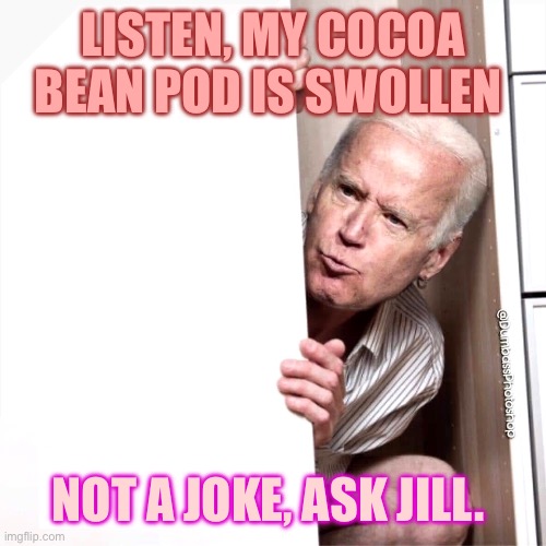 Biden | LISTEN, MY COCOA BEAN POD IS SWOLLEN; NOT A JOKE, ASK JILL. | image tagged in biden | made w/ Imgflip meme maker
