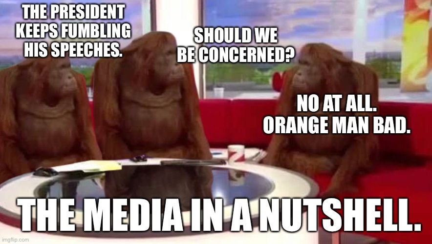 The media in a nutshell | SHOULD WE BE CONCERNED? THE PRESIDENT KEEPS FUMBLING HIS SPEECHES. NO AT ALL. ORANGE MAN BAD. THE MEDIA IN A NUTSHELL. | image tagged in where monkey | made w/ Imgflip meme maker