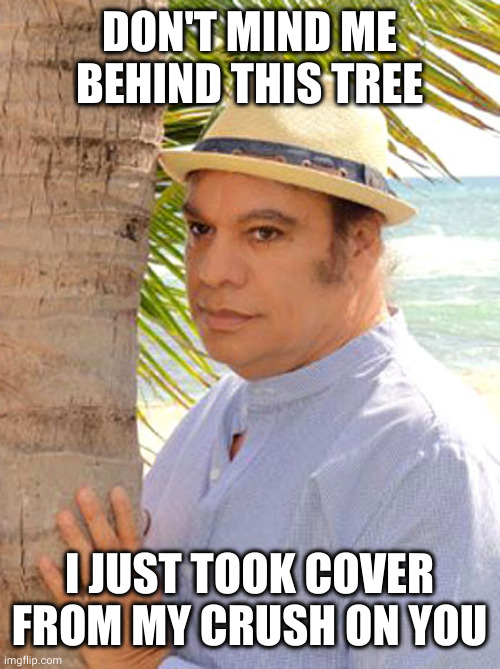 Take cover! you're my crush | DON'T MIND ME BEHIND THIS TREE; I JUST TOOK COVER FROM MY CRUSH ON YOU | image tagged in juan gabriel gay,take cover,crush,memes,too much,palm tree | made w/ Imgflip meme maker