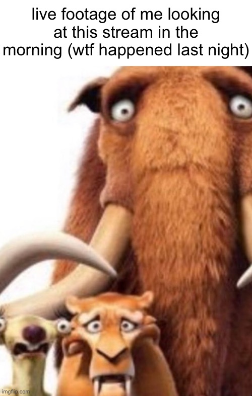 gm chat | live footage of me looking at this stream in the morning (wtf happened last night) | image tagged in ice age shocked | made w/ Imgflip meme maker