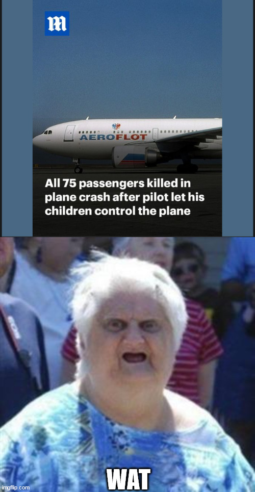 Playing with people lives | WAT | image tagged in wat lady,plane,airplane,plane crash | made w/ Imgflip meme maker
