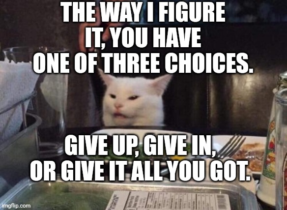 Smudge that darn cat | THE WAY I FIGURE IT, YOU HAVE ONE OF THREE CHOICES. GIVE UP, GIVE IN, OR GIVE IT ALL YOU GOT. | image tagged in smudge that darn cat | made w/ Imgflip meme maker