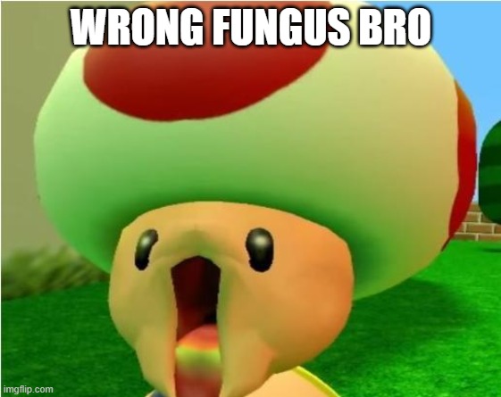 excited toad | WRONG FUNGUS BRO | image tagged in excited toad | made w/ Imgflip meme maker