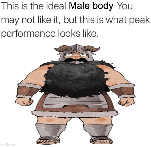 this is the ideal ___ | Male body | image tagged in this is the ideal ___,memes,dungeon meshi,anime meme,animeme,shitpost | made w/ Imgflip meme maker