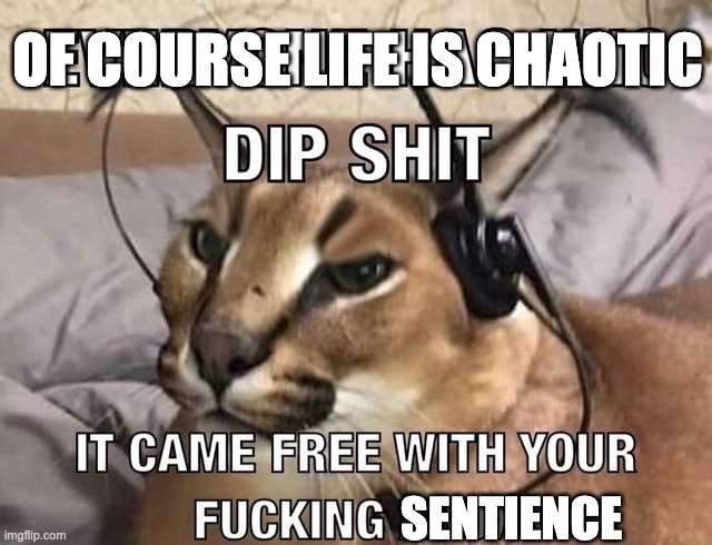 Anti-Nihilism in a nutshell | OF COURSE LIFE IS CHAOTIC; SENTIENCE | image tagged in everyone has x dip shit,nihilism,optimism | made w/ Imgflip meme maker