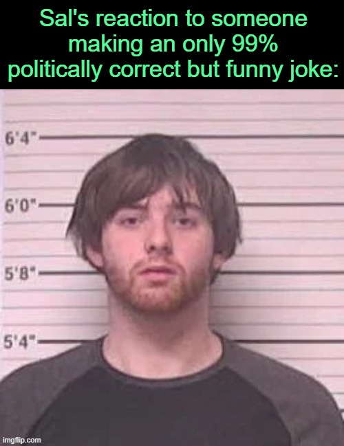 . | Sal's reaction to someone making an only 99% politically correct but funny joke: | image tagged in live lazy_mazy's mugshot reaction | made w/ Imgflip meme maker