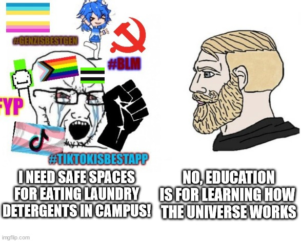 Safe spaces for eating laundry detergents | I NEED SAFE SPACES FOR EATING LAUNDRY DETERGENTS IN CAMPUS! NO, EDUCATION IS FOR LEARNING HOW 
THE UNIVERSE WORKS | image tagged in average liberal vs chad outdated,students,campus insanity | made w/ Imgflip meme maker