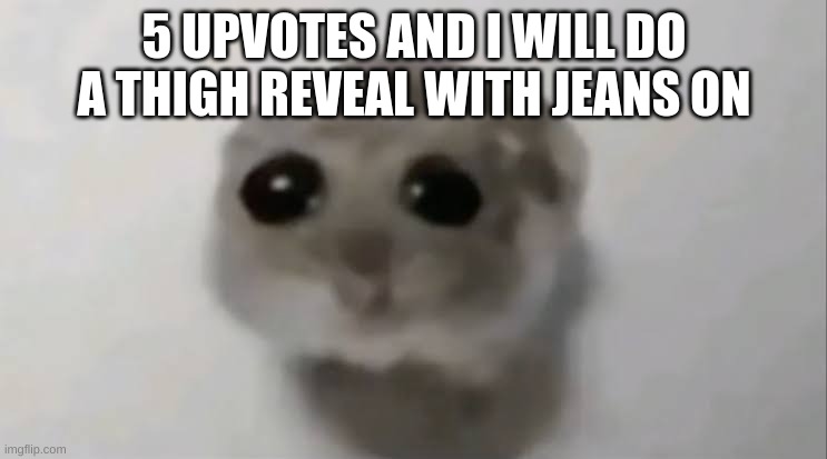 Pls don't reach the goal ;-; | 5 UPVOTES AND I WILL DO A THIGH REVEAL WITH JEANS ON | image tagged in sad hamster,i have kids in my basement,i have given up,god i hate the french | made w/ Imgflip meme maker