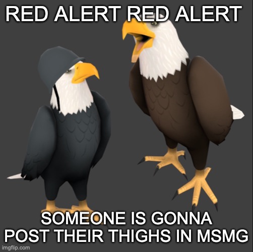 i will see if that post was a joke or not | RED ALERT RED ALERT; SOMEONE IS GONNA POST THEIR THIGHS IN MSMG | image tagged in tf2 eagles | made w/ Imgflip meme maker