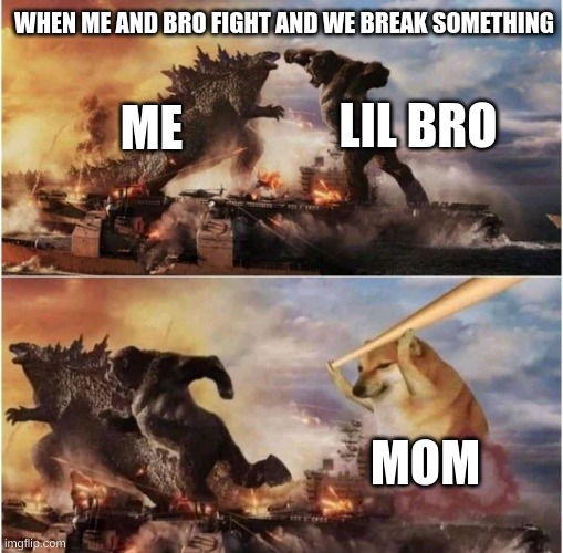 Me and bro | WHEN ME AND BRO FIGHT AND WE BREAK SOMETHING; LIL BRO; ME; MOM | image tagged in kong godzilla doge | made w/ Imgflip meme maker