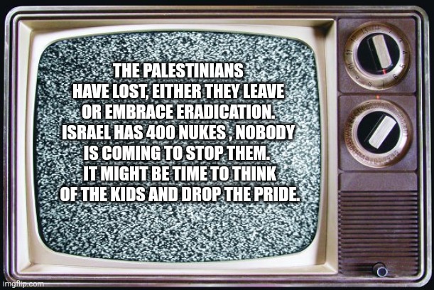 Static tv | THE PALESTINIANS HAVE LOST, EITHER THEY LEAVE OR EMBRACE ERADICATION. ISRAEL HAS 400 NUKES , NOBODY IS COMING TO STOP THEM. 
 IT MIGHT BE TIME TO THINK
 OF THE KIDS AND DROP THE PRIDE. | image tagged in static tv,funny memes | made w/ Imgflip meme maker