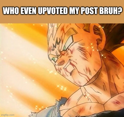 :d | WHO EVEN UPVOTED MY POST BRUH? | image tagged in vegeta final explosion,i have kids in my basement,sad boi | made w/ Imgflip meme maker