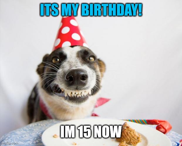 wish me by upvoting... | ITS MY BIRTHDAY! IM 15 NOW | image tagged in memes,funny,birthday,happy birthday | made w/ Imgflip meme maker