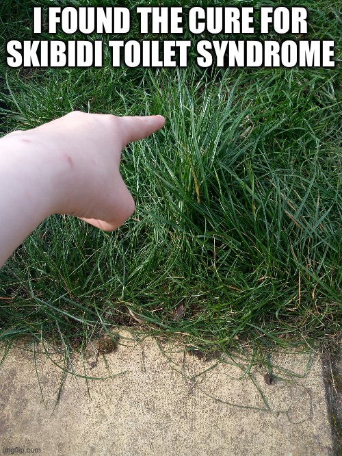 AFM tells you to touch grass | I FOUND THE CURE FOR SKIBIDI TOILET SYNDROME | image tagged in afm tells you to touch grass | made w/ Imgflip meme maker