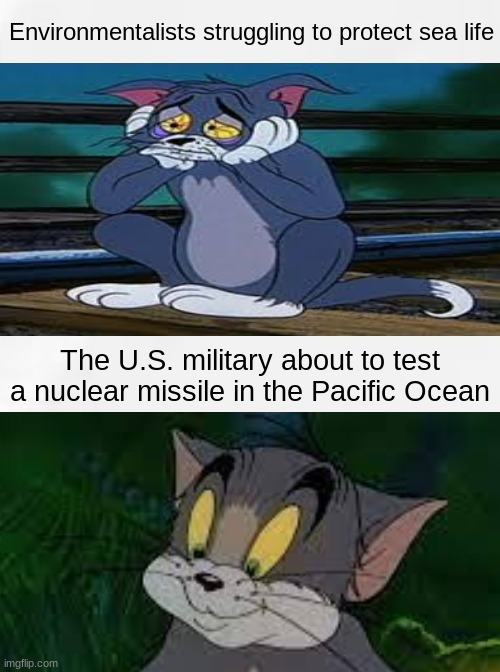 Sea life | Environmentalists struggling to protect sea life; The U.S. military about to test a nuclear missile in the Pacific Ocean | image tagged in tom and jerry | made w/ Imgflip meme maker
