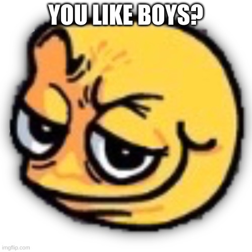 anus shit | YOU LIKE BOYS? | image tagged in anus shit | made w/ Imgflip meme maker