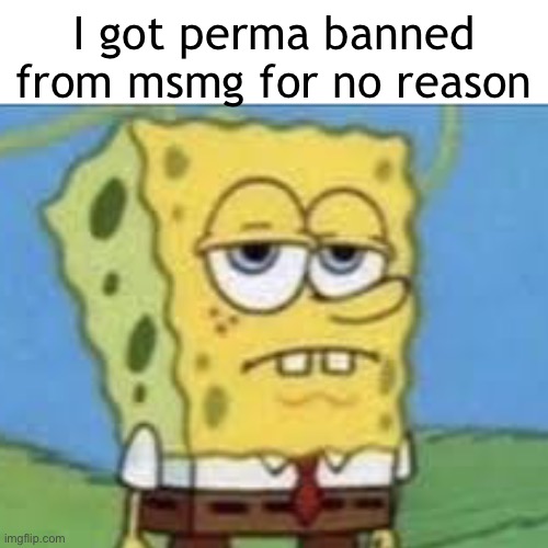 Bruh | I got perma banned from msmg for no reason | image tagged in serious spongebob | made w/ Imgflip meme maker
