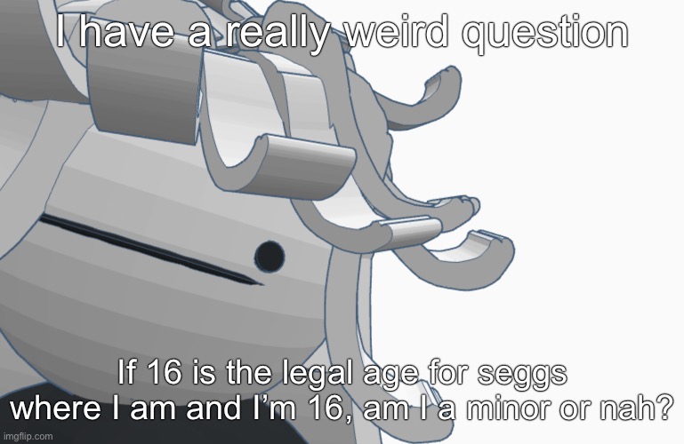 Btw I don’t plan on having seggs before 18, that’s messed up | I have a really weird question; If 16 is the legal age for seggs where I am and I’m 16, am I a minor or nah? | image tagged in bwomp | made w/ Imgflip meme maker