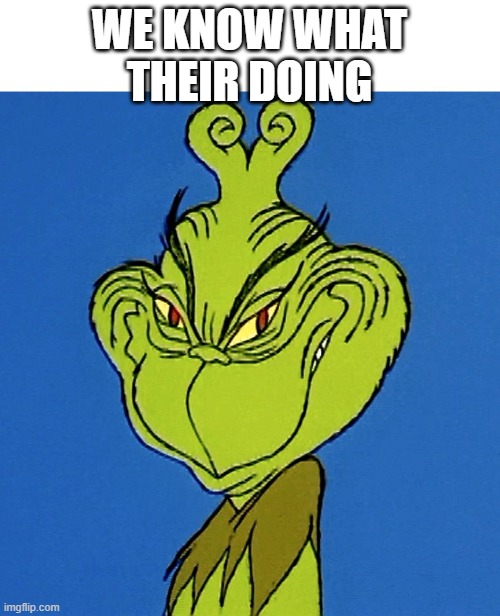 Grinch Smile | WE KNOW WHAT THEIR DOING | image tagged in grinch smile | made w/ Imgflip meme maker