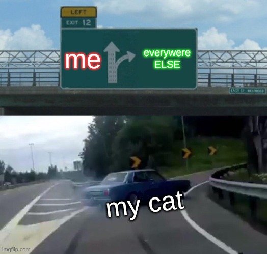 Left Exit 12 Off Ramp Meme | me; everywere ELSE; my cat | image tagged in memes,left exit 12 off ramp | made w/ Imgflip meme maker