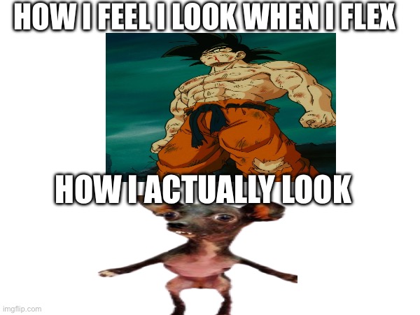 Flexing | HOW I FEEL I LOOK WHEN I FLEX; HOW I ACTUALLY LOOK | image tagged in funny,goku | made w/ Imgflip meme maker