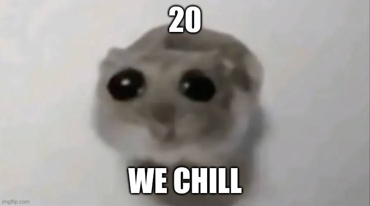 Sad Hamster | 20 WE CHILL | image tagged in sad hamster | made w/ Imgflip meme maker