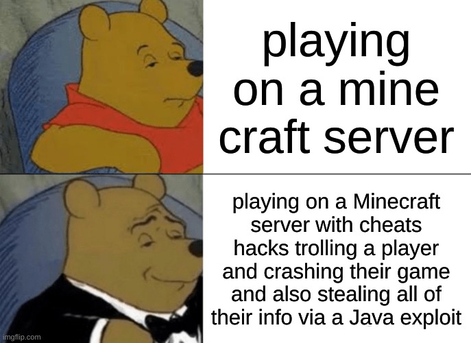 Minecraft server choices | playing on a mine craft server; playing on a Minecraft server with cheats hacks trolling a player and crashing their game and also stealing all of their info via a Java exploit | image tagged in memes,tuxedo winnie the pooh | made w/ Imgflip meme maker