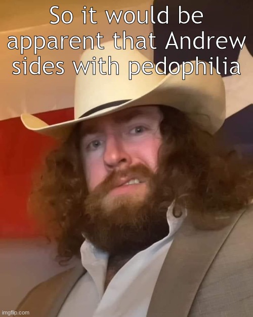 Wtf | So it would be apparent that Andrew sides with pedophilia | image tagged in wtf | made w/ Imgflip meme maker