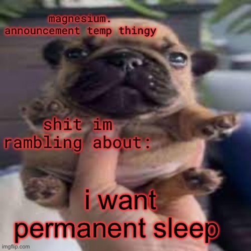 to tired for this gay shit | i want permanent sleep | image tagged in pug temp | made w/ Imgflip meme maker