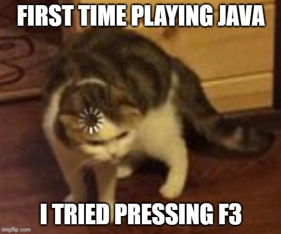 I'm still getting used to java i need my brother to teach me what all that F3 stuff means | FIRST TIME PLAYING JAVA; I TRIED PRESSING F3 | image tagged in loading cat | made w/ Imgflip meme maker